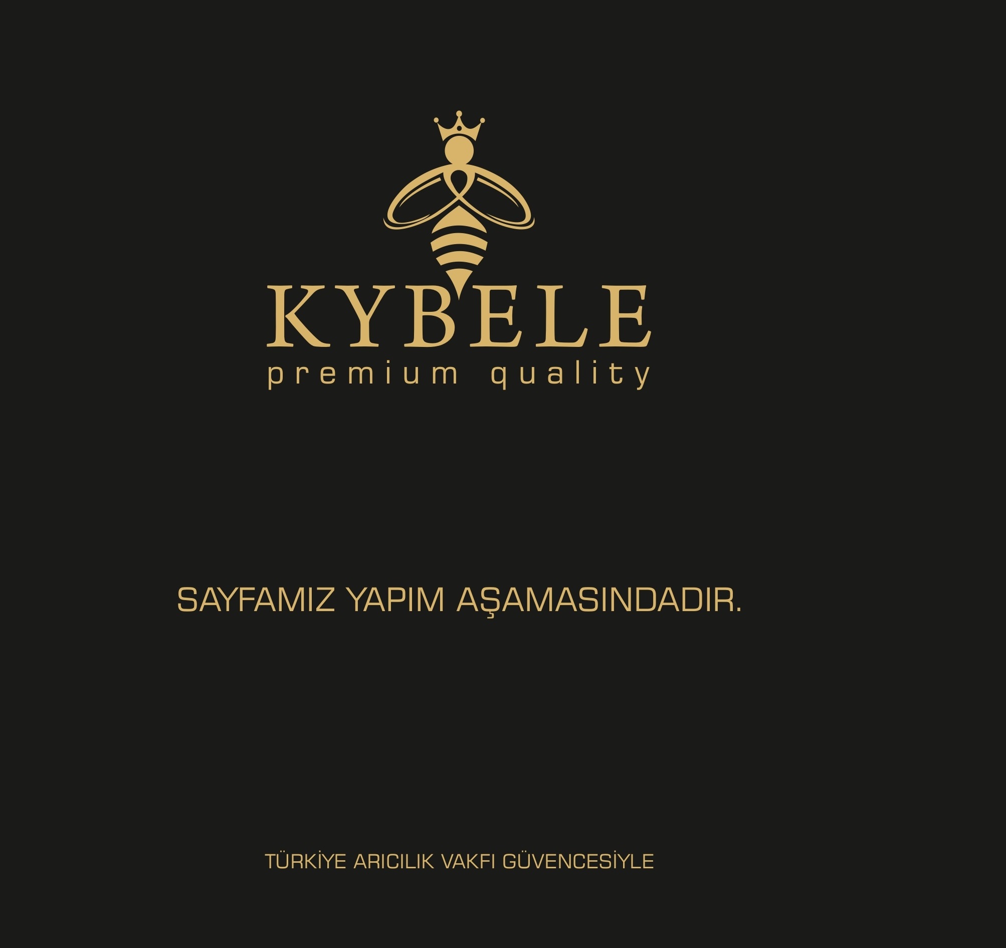 Yapım aşamasında